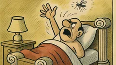 Ανέκδοτο: Σαματά το κουνούπι τα μεσάνυχτα…