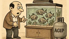 Ανέκδοτο: Πωλείται ενυδρείο με αιμοβόρα ψάρια